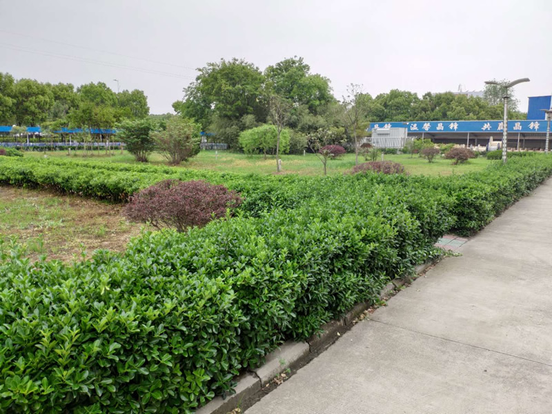 519695dc-20f9-4ec8-8660-9bf67f296538.jpg 519695dc-20f9-4ec8-8660-9bf67f296538.jpg